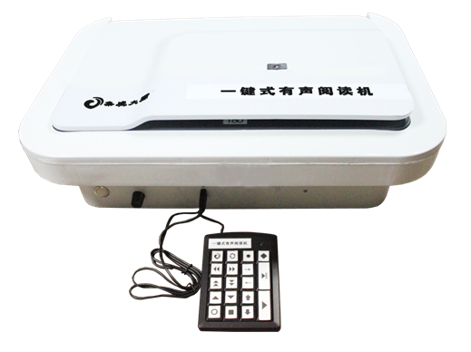 Text to speech reader