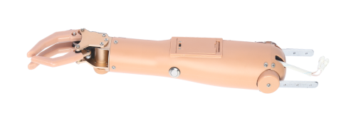 三指肘離斷肌電假肢        （二自由度）