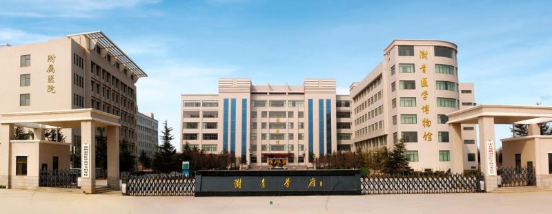 鄭州澍青醫(yī)學高等?？茖W?？祻?fù)醫(yī)學系-