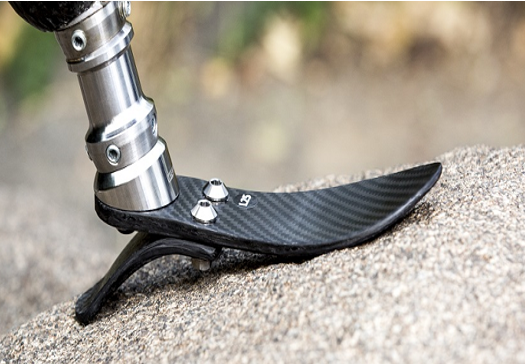 Low ankle without split toes-