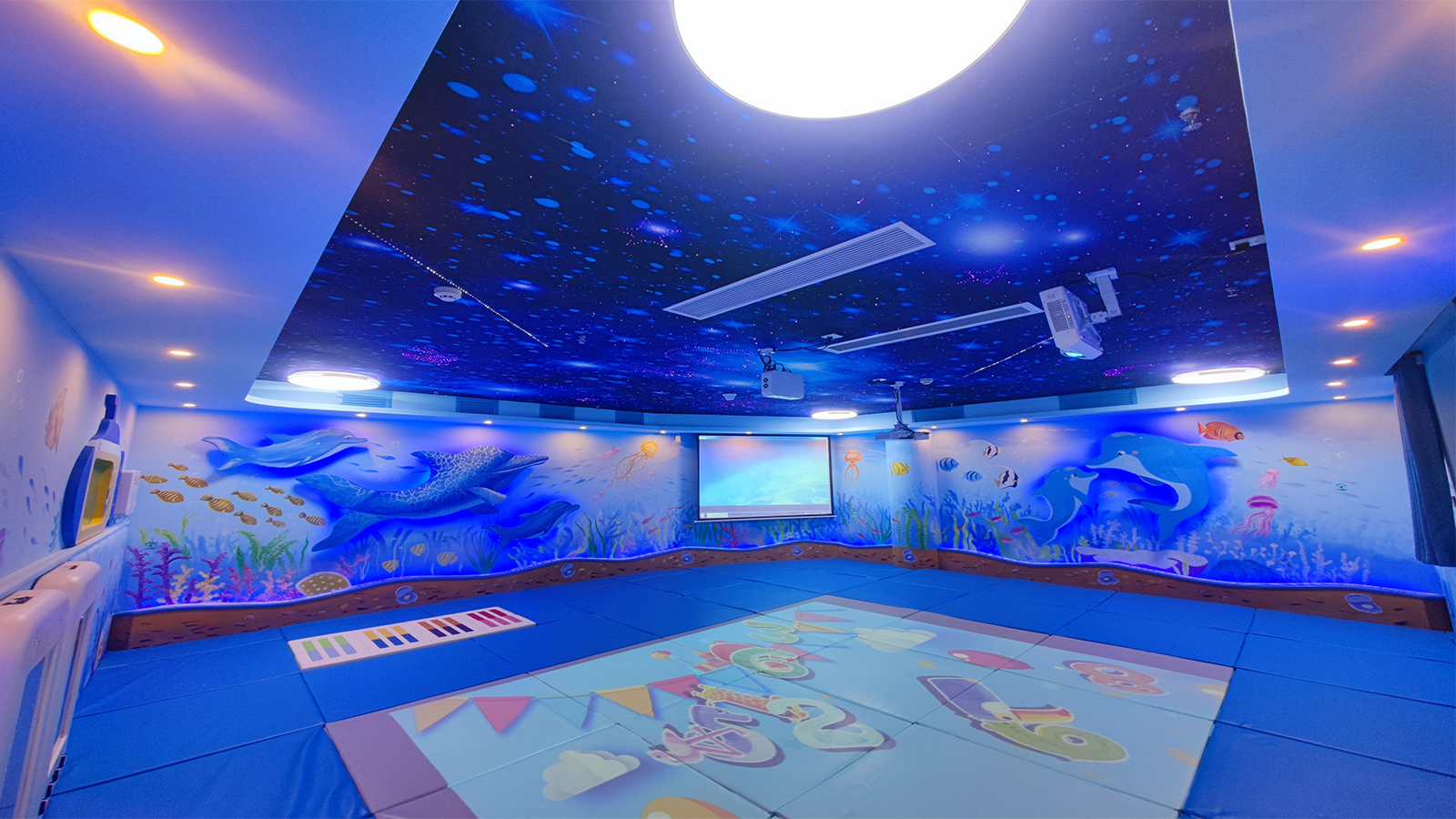 海豚數(shù)字仿生訓(xùn)練系統(tǒng)