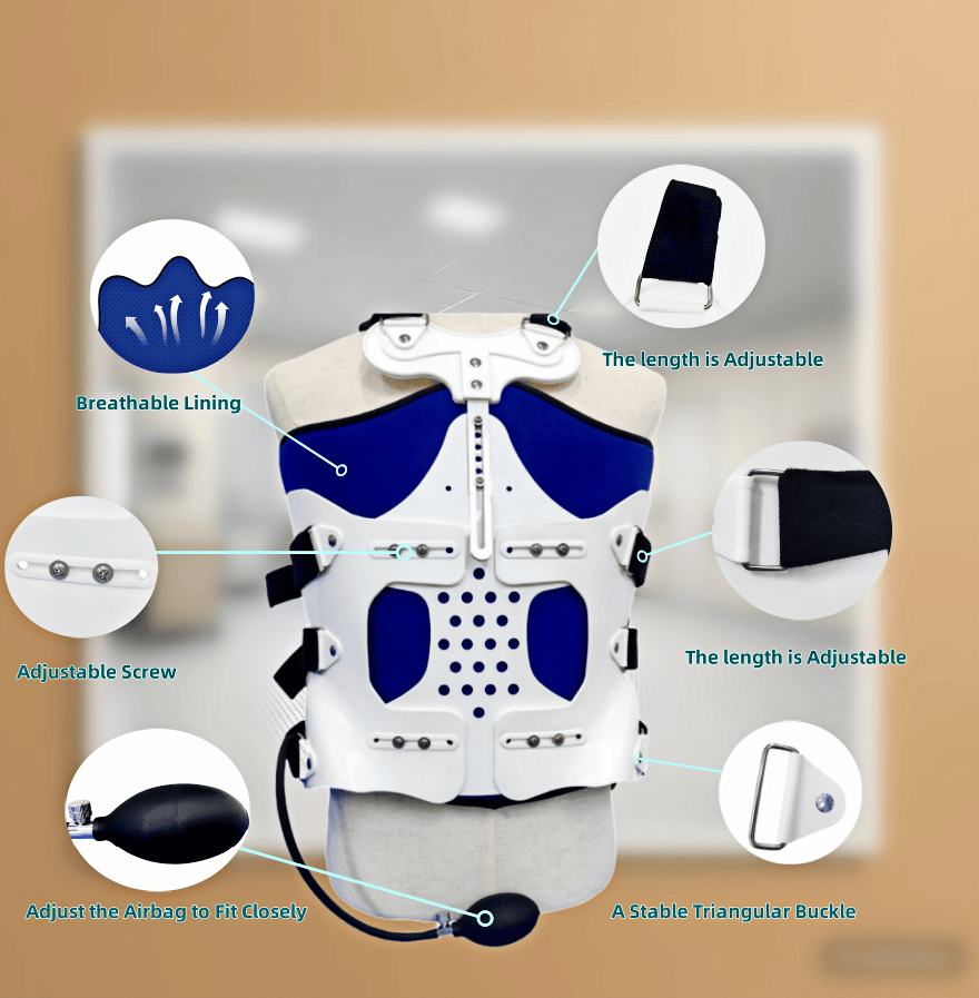 胸腰椎固定支具