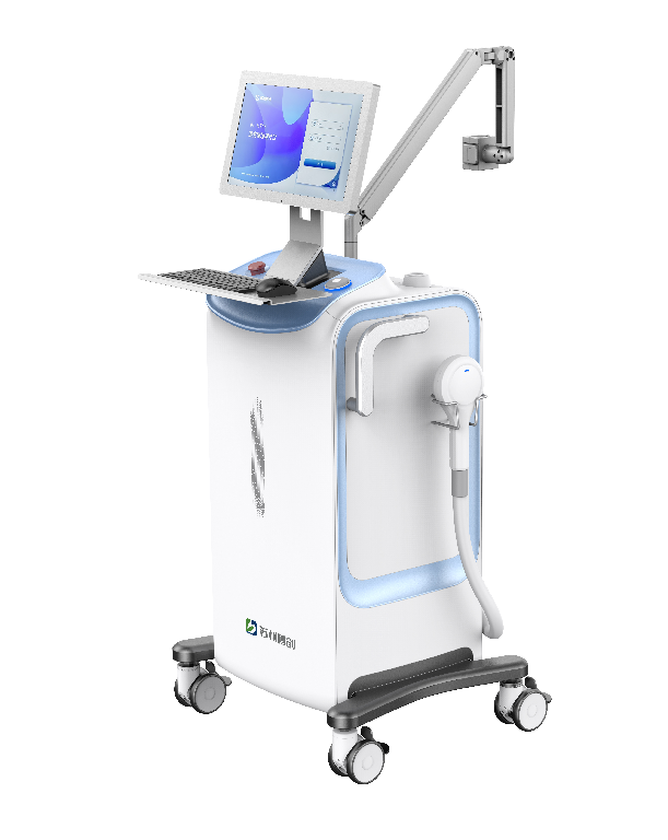 Laser magnetic therapy device