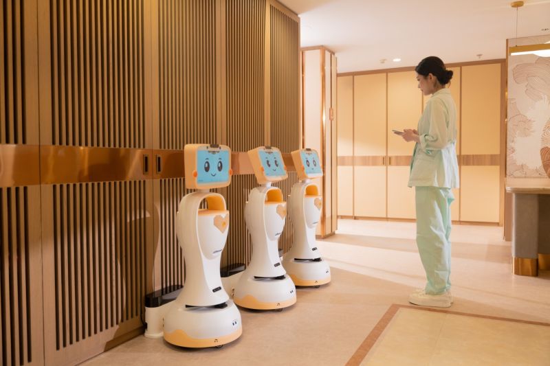 小麗養(yǎng)老服務機器人-