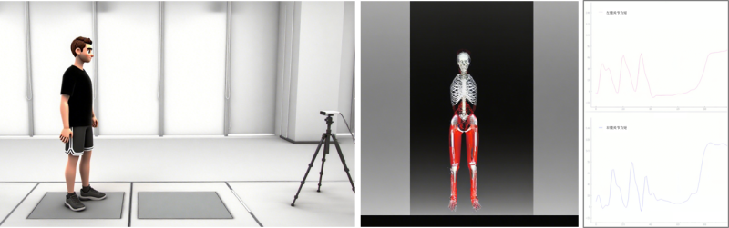 基于無標記運動捕獲的人體下肢生物力學分析系統(tǒng)-